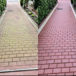 Mobilne Centrum Czystości Mycie kostki Mycie elewacji Szczecin Pranie tapicerki Stargard - Efekt czyszczenia kostki brukowej: Po lewej zaniedbana, pokryta mchem, po prawej świeżo wyczyszczona, intensywnie czerwona kostka prowadząca wzdłuż zielonych krzewów.
