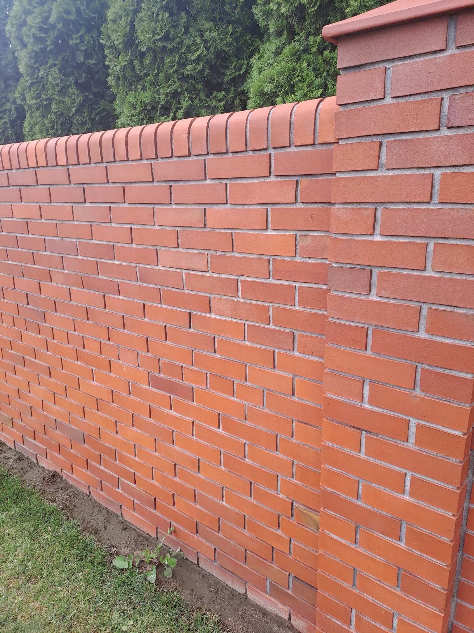 Nowy, czerwony mur z cegły klinkierowej z dekoracyjnym wykończeniem, widoczny na tle zielonych krzewów. Estetyczne ogrodzenie posesji.