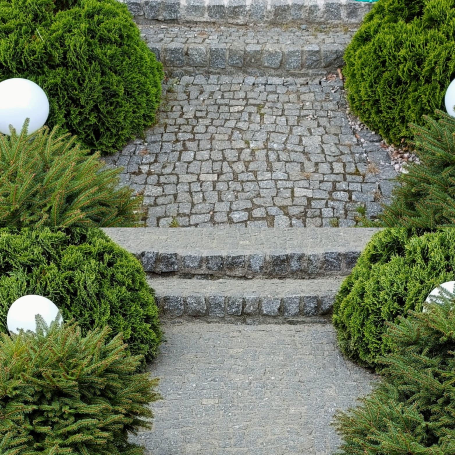 Kamienna ścieżka z dwoma stopniami, obramowana zielonymi krzewami z białymi kulami, tworząca uporządkowany i estetyczny krajobraz ogrodu. Widok z góry.