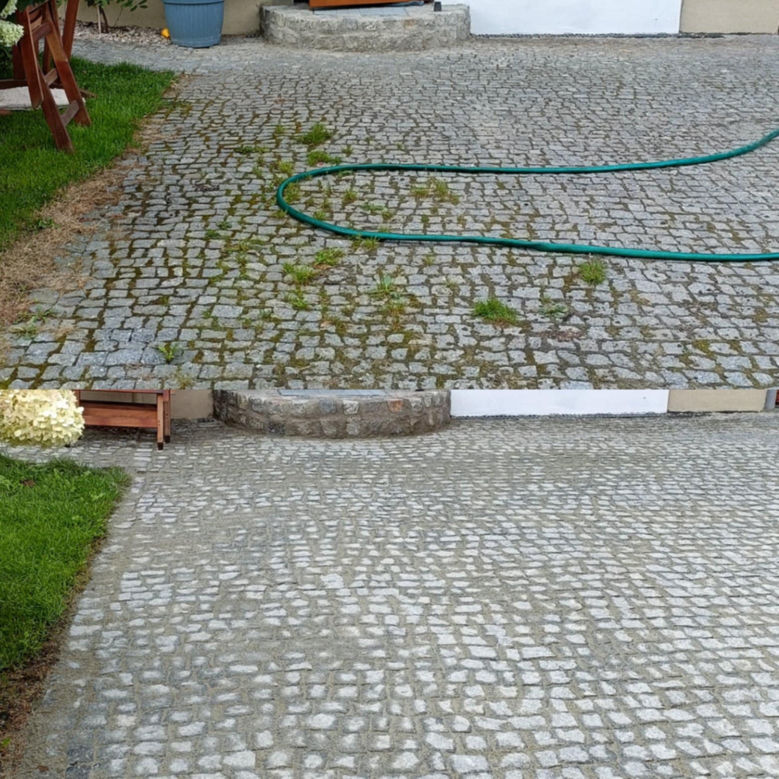 Szara kostka brukowa z zielonym wężem ogrodowym, częściowo porośnięta mchem i trawą. Widoczny fragment trawnika i drewnianej ławki.