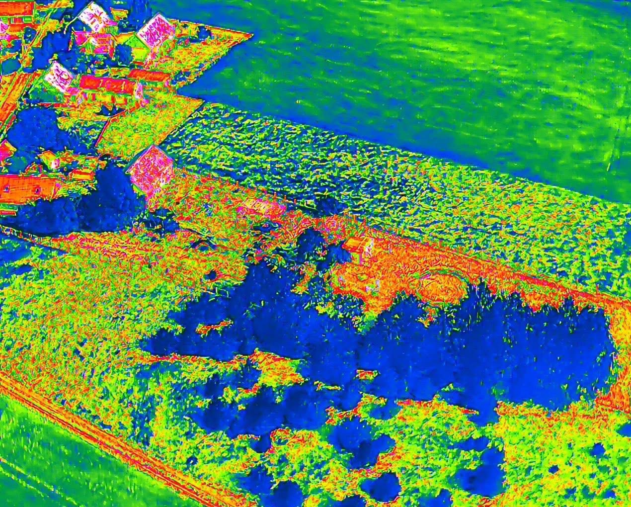Abstrakcyjna wizja lotnicza osiedla domów jednorodzinnych z polami i lasem, w jaskrawych, nienaturalnych kolorach, przypominająca termowizję.