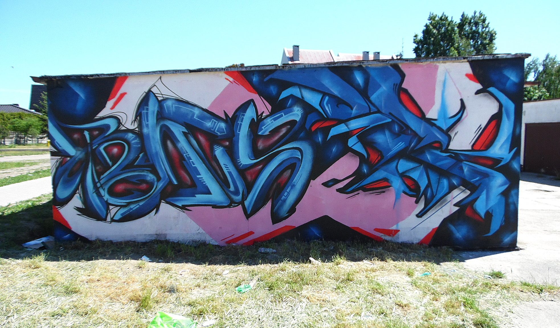 Kolorowe graffiti z niebieskimi i czerwonymi akcentami na ścianie z różowym tłem, widoczne trawa i fragment chodnika. Street art w plenerze.