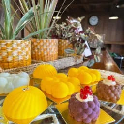 Eleganckie mini-desery na szklanym paterze, z roślinną dekoracją w tle. Żółte, fioletowe i czekoladowe ciastka z owocami, idealne na wykwintny catering.