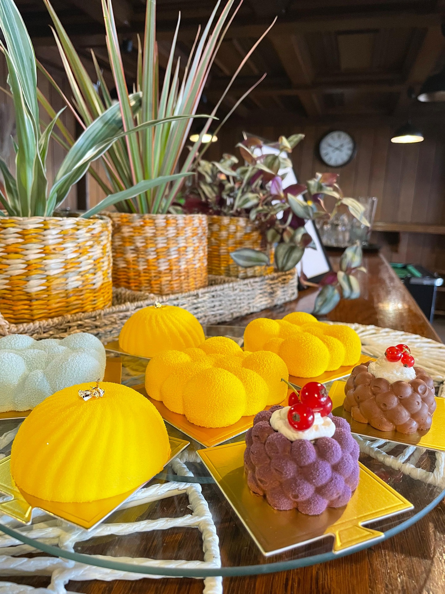 Eleganckie mini-desery na szklanym paterze, z roślinną dekoracją w tle. Żółte, fioletowe i czekoladowe ciastka z owocami, idealne na wykwintny catering.