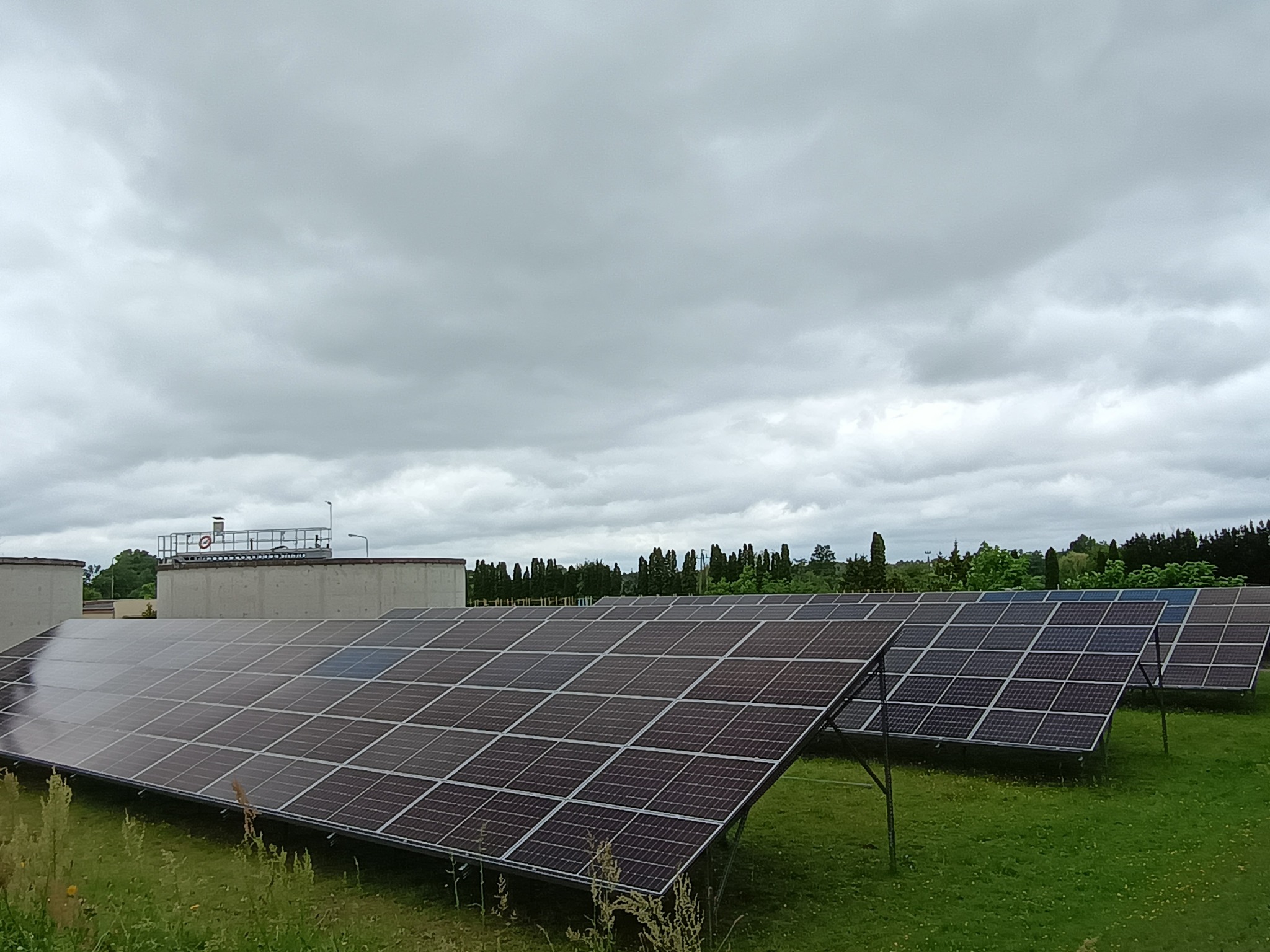 Rzędy paneli słonecznych na trawiastym terenie pod pochmurnym niebem, z budynkami w tle. Widok z niskiej perspektywy, podkreślający rozległość instalacji.