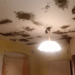 Orbud - Zacieki na suficie wewnątrz pomieszczenia, widoczna lampa i fragment ściany z odchodzącą farbą. Nierówności i plamy wskazują na uszkodzenia dachu.