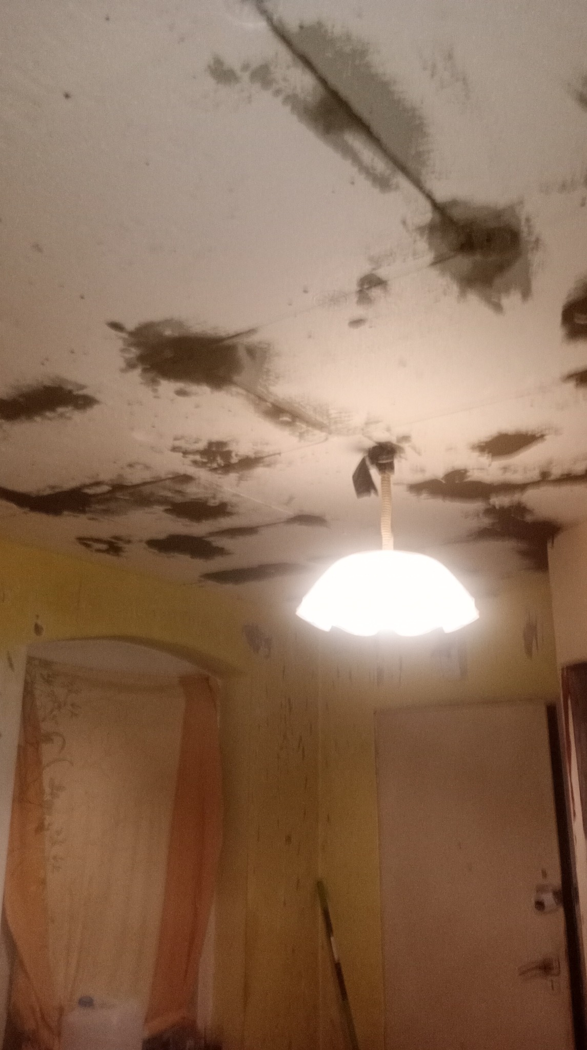 Zacieki na suficie wewnątrz pomieszczenia, widoczna lampa i fragment ściany z odchodzącą farbą. Nierówności i plamy wskazują na uszkodzenia dachu.