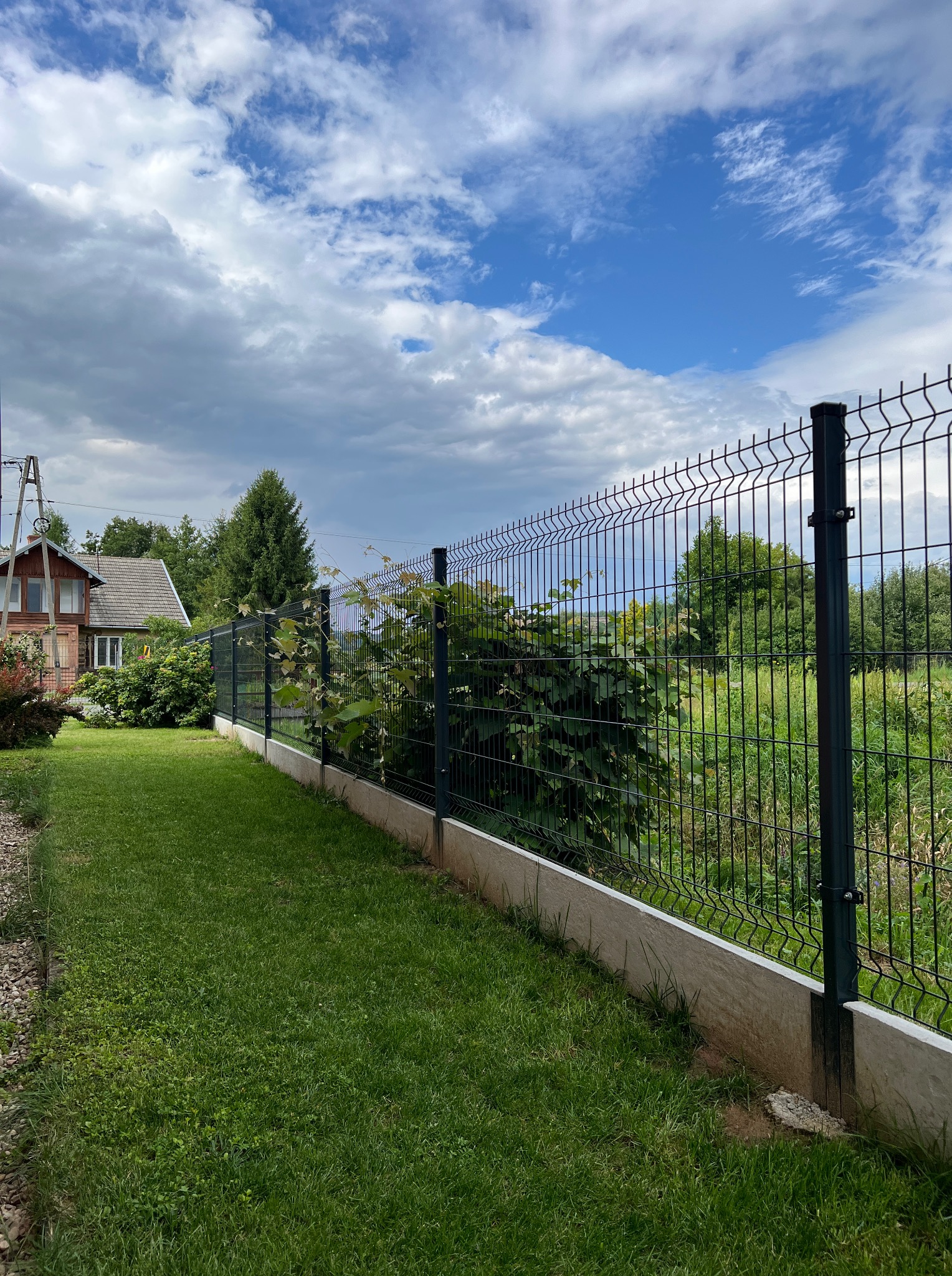 Nowoczesne ogrodzenie panelowe w kolorze grafitowym, z podmurówką betonową, otoczone zielonym trawnikiem i bujną roślinnością. Widok na dom w tle pod pochmurnym niebem.