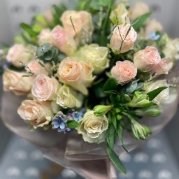 Rośliny i podłoża Bydgoszcz 2