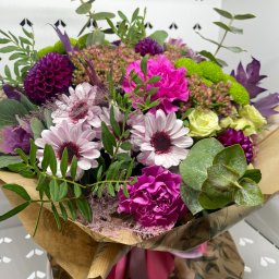 Rośliny i podłoża Bydgoszcz 3