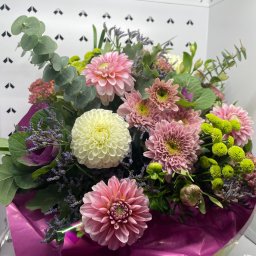 Rośliny i podłoża Bydgoszcz 4