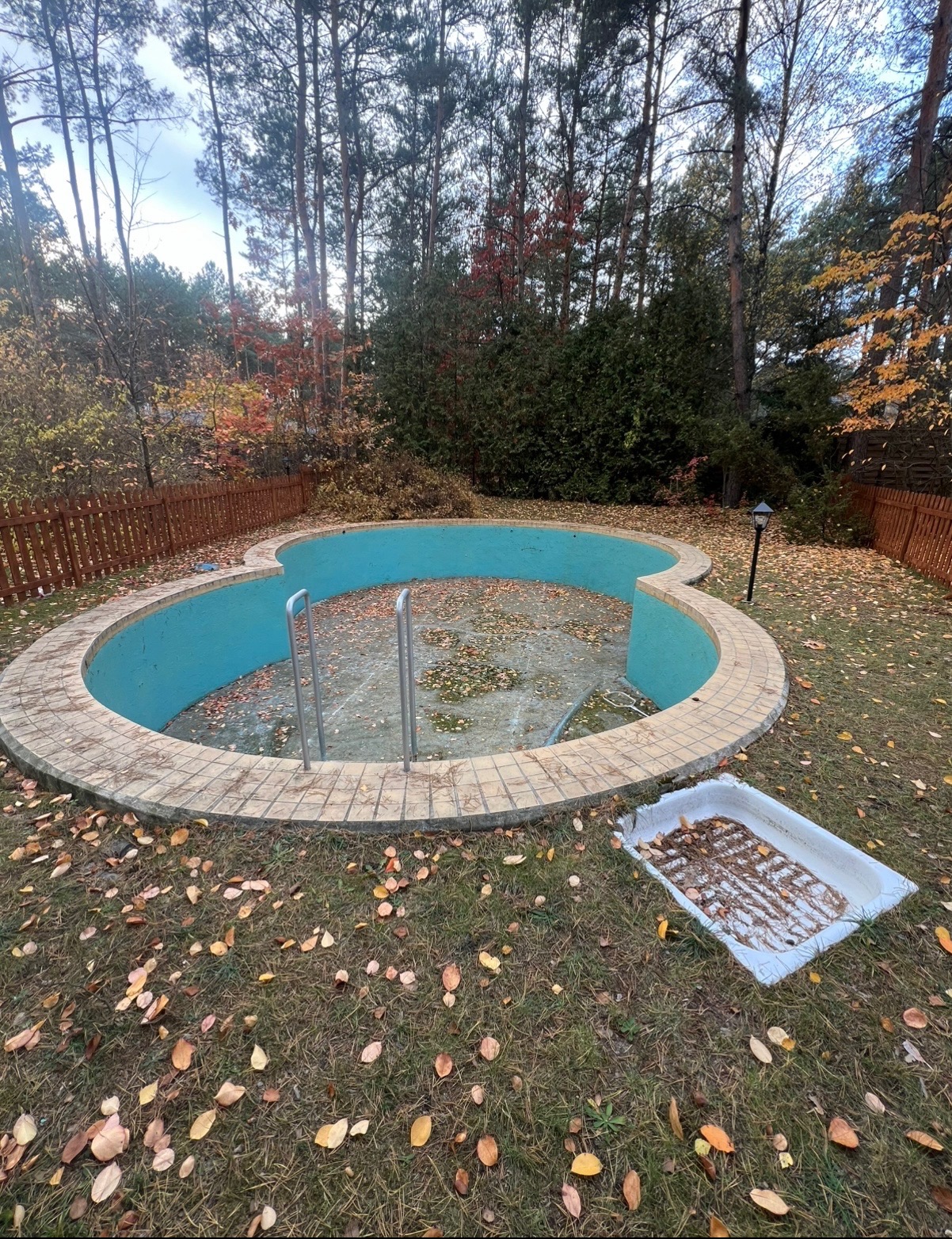 Opróżniony, zaniedbany basen ogrodowy w kształcie trójlistnej koniczyny, z metalową drabinką, otoczony brązowym płotem i drzewami jesienią.