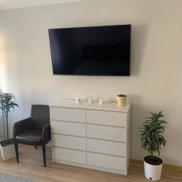 Usługi Budowlane Roman Borsuk - Minimalistyczne wnętrze: biała komoda z szufladami pod telewizorem, brązowy fotel, rośliny w doniczkach i szary dywan na drewnianej podłodze.