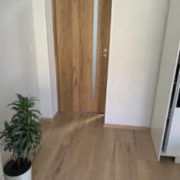 Wnętrze: drewnopodobna podłoga, drzwi z przeszkleniem i złota klamka na tle białych ścian. W rogu doniczka z zieloną rośliną. Minimalistyczny styl.