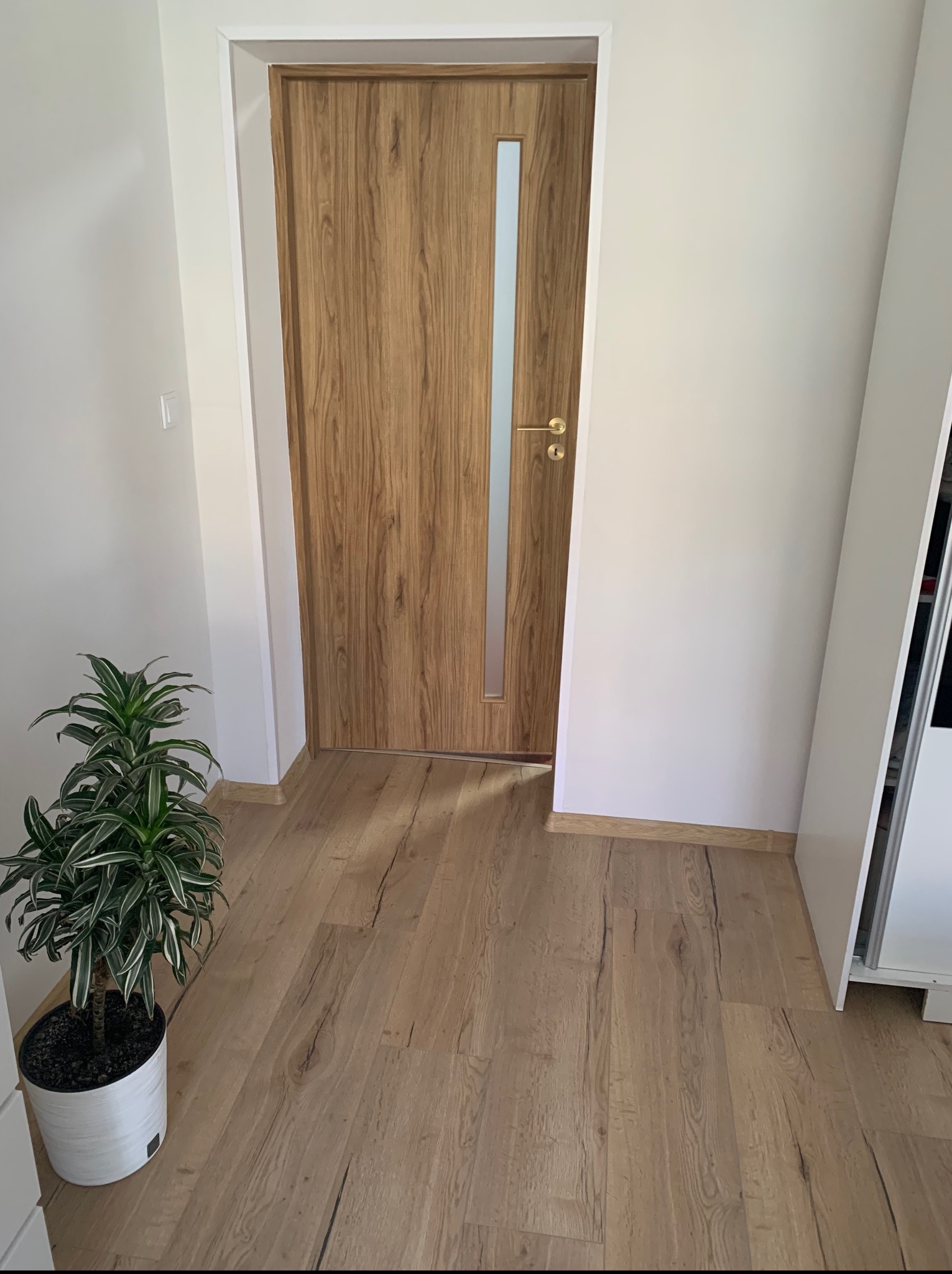 Wnętrze: drewnopodobna podłoga, drzwi z przeszkleniem i złota klamka na tle białych ścian. W rogu doniczka z zieloną rośliną. Minimalistyczny styl.