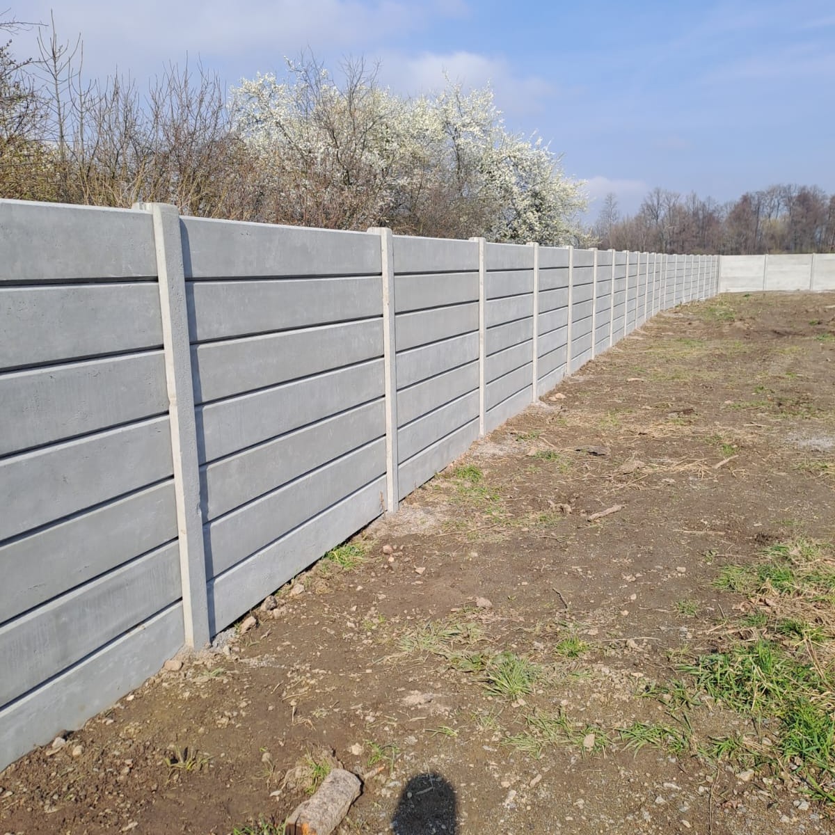 Długi, szary płot betonowy z poziomymi panelami, ciągnący się wzdłuż pola. W tle kwitnące drzewa i błękitne niebo.