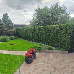 Wycinka drzew Rzeszów 2