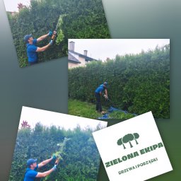 Wycinka drzew Rzeszów 1