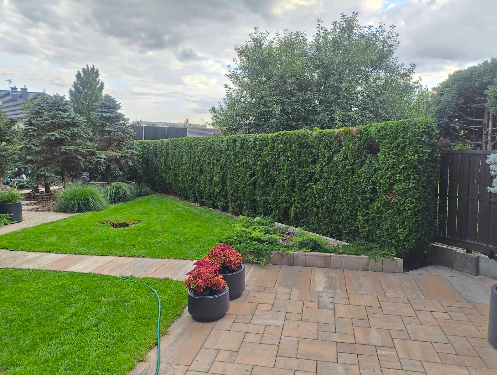 Zadbany ogród z równo przystrzyżonym żywopłotem, zielonym trawnikiem i dekoracyjnymi roślinami w donicach na brukowanym patio. Widok na dom w tle.