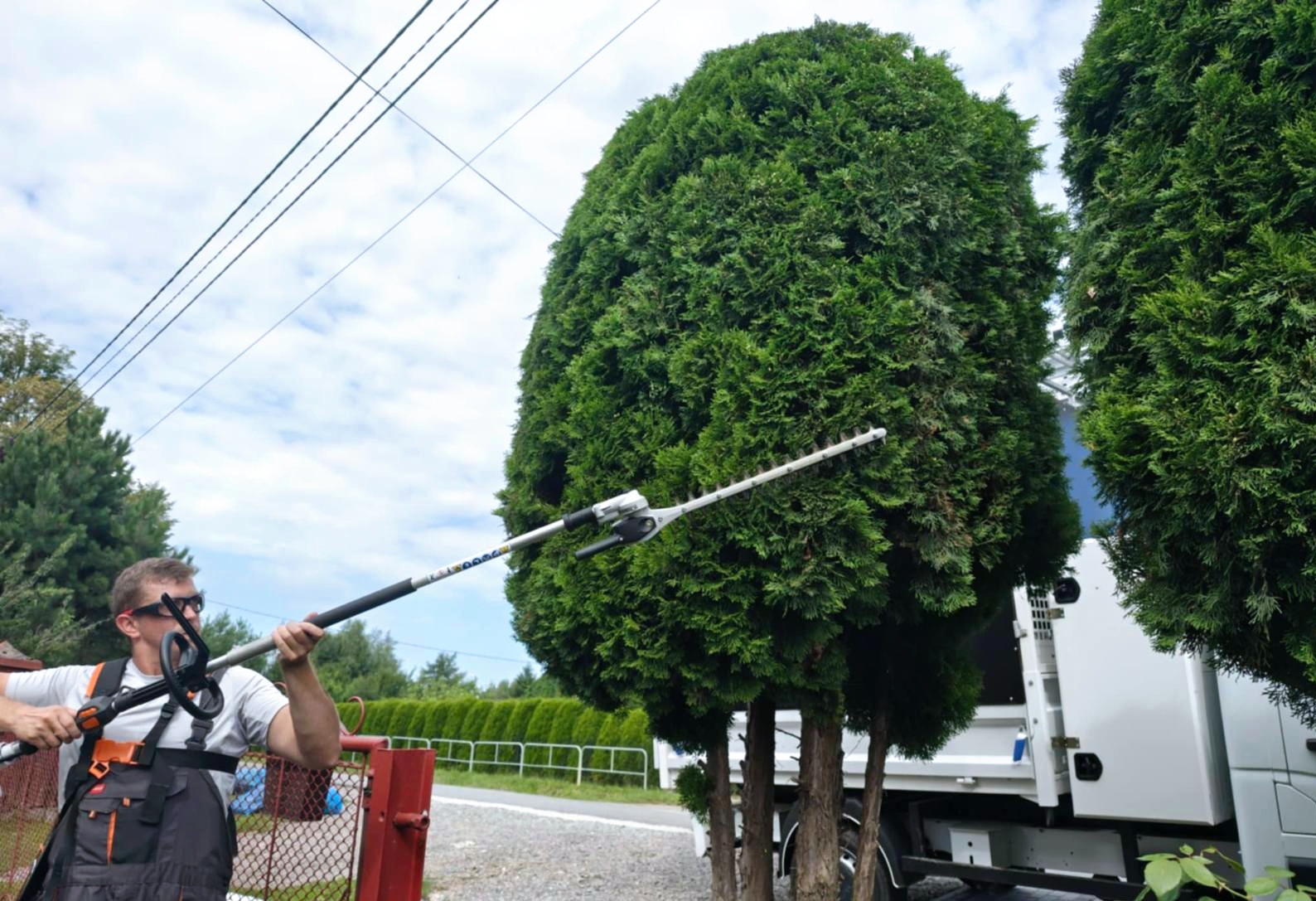 Ogrodnik w okularach ochronnych przycina wysokie tuje teleskopowymi nożycami, z boku widoczny samochód dostawczy. Błękitne niebo w tle.