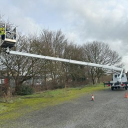 Nasza firma specjalizuje się w kompleksowej obsłudze wycinania drzew, zwłaszcza tych trudno dostępnych i wymagających specjalistycznej techniki.