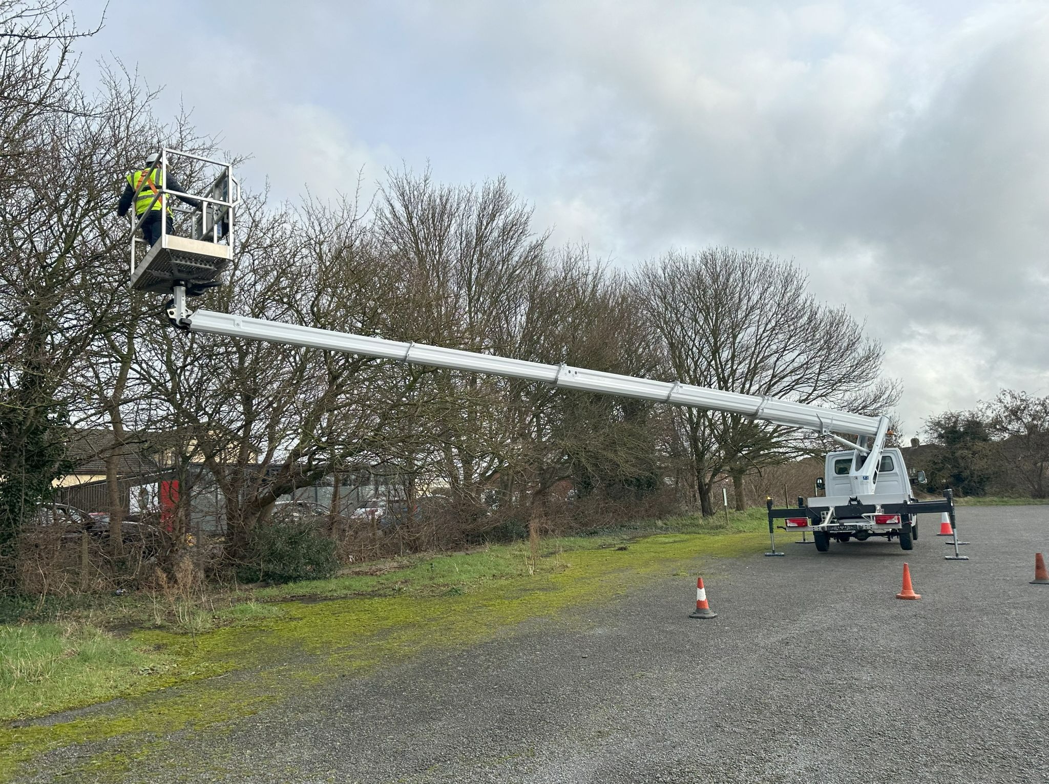 Pracownik w koszu podnośnika teleskopowego tnie gałęzie drzewa. Widoczne zabezpieczenia i stożki ostrzegawcze. Szaro-bura pogoda.