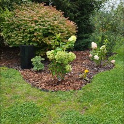 Bracia ogrodnicy. - Brukarze Wrocław