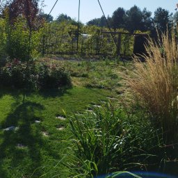 Bracia ogrodnicy. - Urokliwy ogród z zielonym trawnikiem, ozdobnymi trawami i drzewami, urozmaicony ścieżką z kamieni i konstrukcją pod pnącza, w słoneczny dzień.