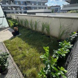 Koszenie trawy Wrocław 1