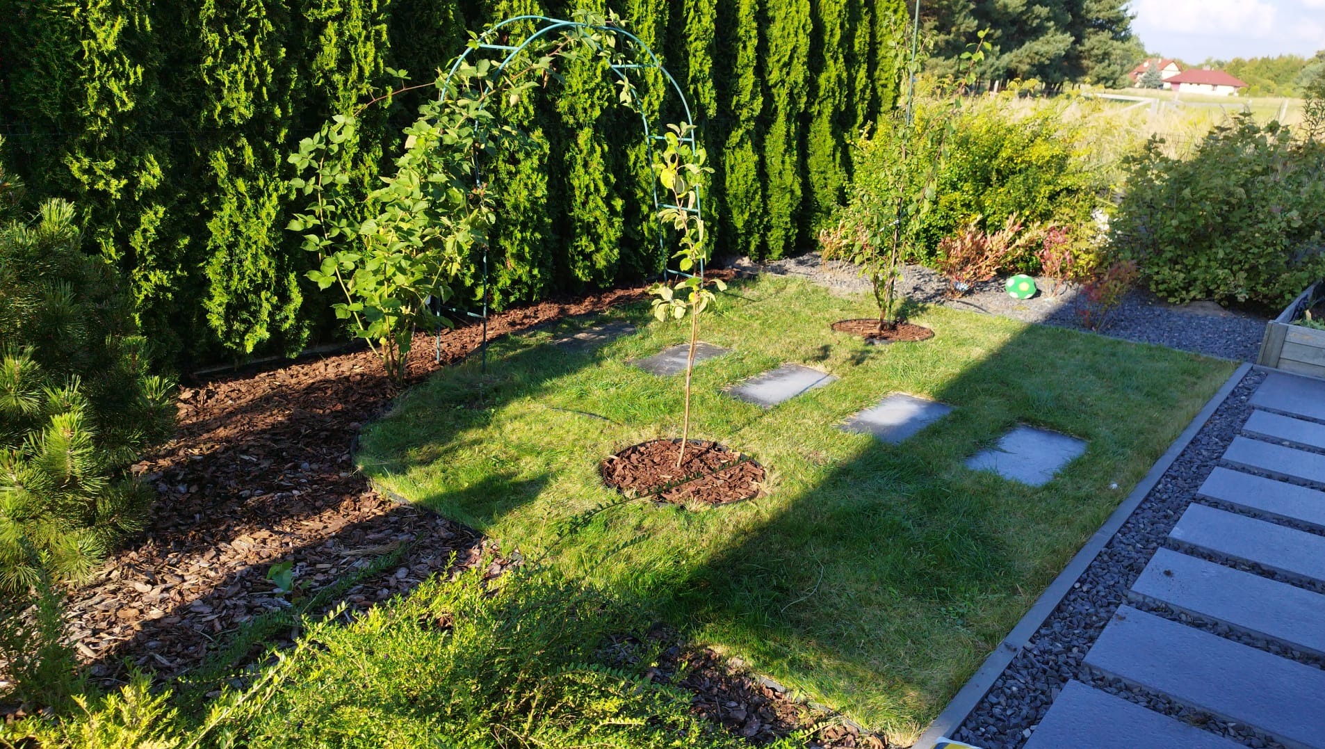 Ogród z młodymi drzewkami, trawnikiem, ścieżką z płyt i dekoracyjną korą. W tle żywopłot i dom. Całość w słoneczny dzień.