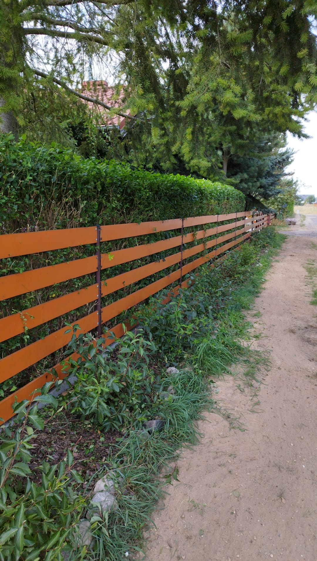 Długi, pomarańczowy płot z poziomych desek, oddzielający zieleń i ścieżkę. W tle żywopłot i drzewa iglaste. Widok z perspektywy ścieżki.
