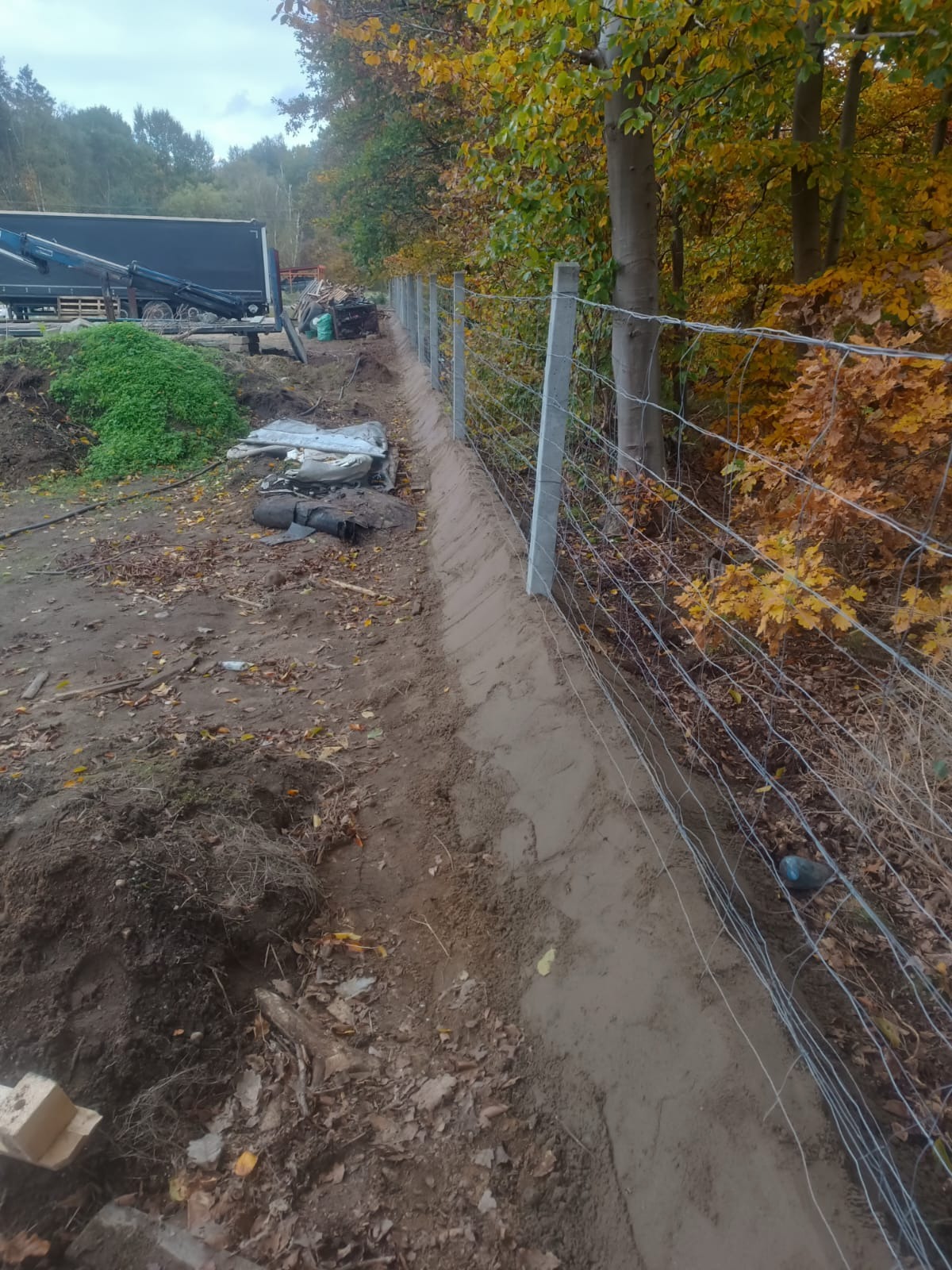 Wkopane słupki ogrodzeniowe z drutem kolczastym wzdłuż granicy działki, widoczne przygotowania do montażu. W tle las z jesiennymi liśćmi i zaparkowany samochód ciężarowy.
