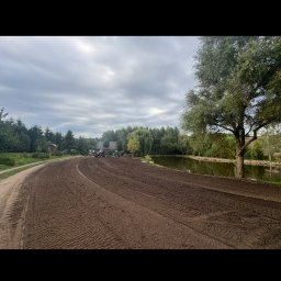 Wycinka drzew Gryfice 1