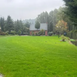 Zadbany trawnik z równo przystrzyżoną trawą, prowadzący do małego, ceglanego budynku. W tle drzewa i krzewy, a z boku fragment stawu. Widoczna ścieżka z kostki.