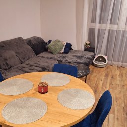 Pure & Fresh Anna Sós - Jasne wnętrze pokoju z okrągłym stołem, niebieskimi krzesłami i szarą sofą. Na stole podkładki i świeca. W tle okno z firanką i legowisko dla kota.