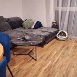 Pure & Fresh Anna Sós - Uporządkowany salon z szarą sofą, okrągłym stolikiem z marmurowym blatem, drewnianą podłogą i dekoracjami, w tym maską czaszki przy oknie.