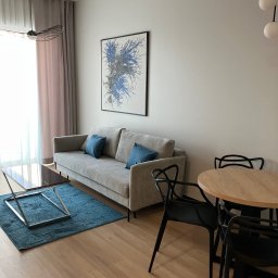 Usługi wykończeniowe- Robert Nadolski - Jasne wnętrze salonu z drewnianą podłogą, szarą sofą z niebieskimi poduszkami, okrągłym stołem i czarnymi krzesłami. Na ścianie abstrakcyjny obraz w czarnej ramie.