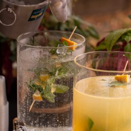 ROBOTANGENS JAROSŁAW BIEŃKOWSKI - Domowe lemoniady