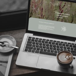 Realizacja strony internetowej pomiedzyslowami.pl