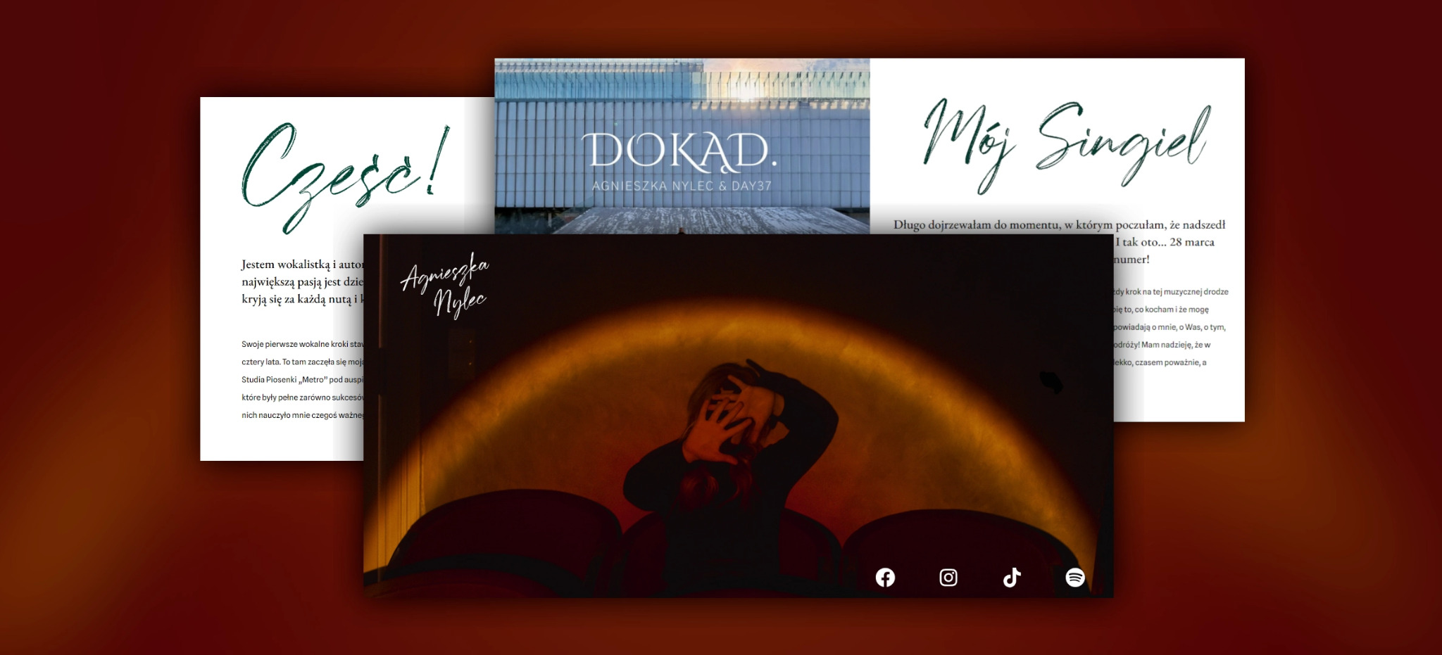 Prezentacja responsywnej strony internetowej artystki Agnieszki Nylec, z widocznymi elementami graficznymi i informacjami o jej twórczości muzycznej.