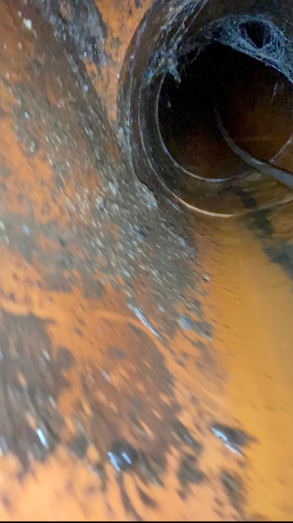 Wnętrze brudnej, pomarańczowej rury kanalizacyjnej z widoczną pajęczyną i osadami. Nietypowy kąt ujęcia podkreśla głębię i stan zaniedbania.