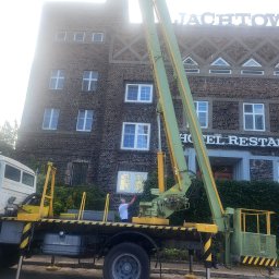 Wycinka drzew Goleniów 2