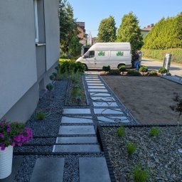 Wycinka drzew Jastrzębie-Zdrój 2