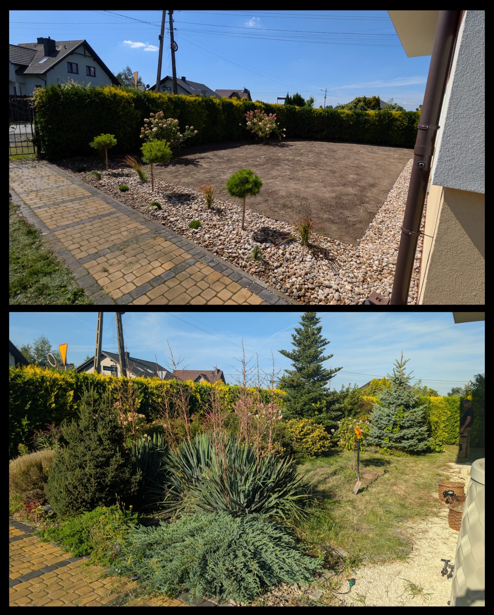 Zdjęcie 'przed i po' ukazujące metamorfozę ogrodu: od zarośniętej przestrzeni do przygotowanego terenu z kamieniami, niskimi drzewkami i ozdobnymi trawami w słoneczny dzień.