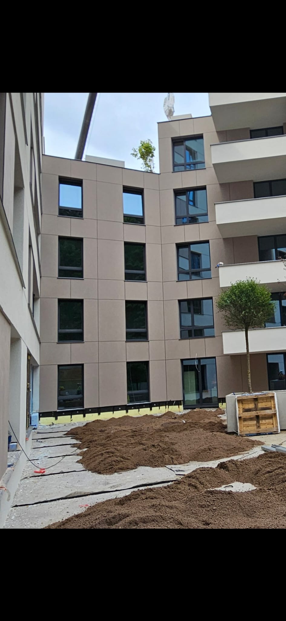 Nowoczesna elewacja budynku z panelami w odcieniach beżu, widoczne okna z ciemnymi ramami i fragment ocieplenia przy ziemi. Na dachu małe drzewko.