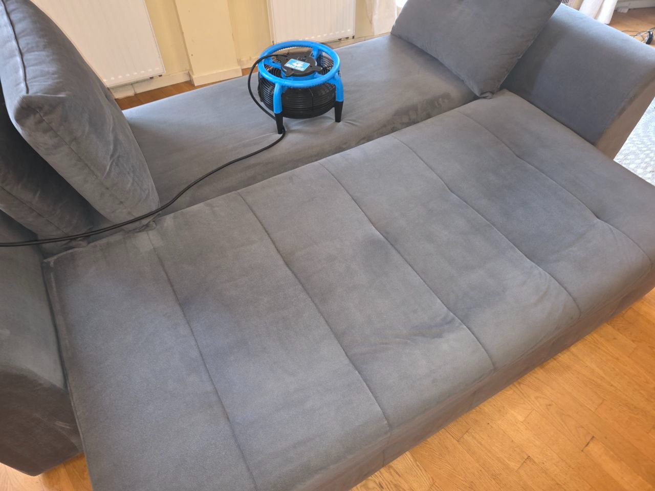 Szara, welurowa kanapa po czyszczeniu z użyciem niebieskiego wentylatora osuszającego tapicerkę. Widoczne ślady po praniu. Parkiet na podłodze.