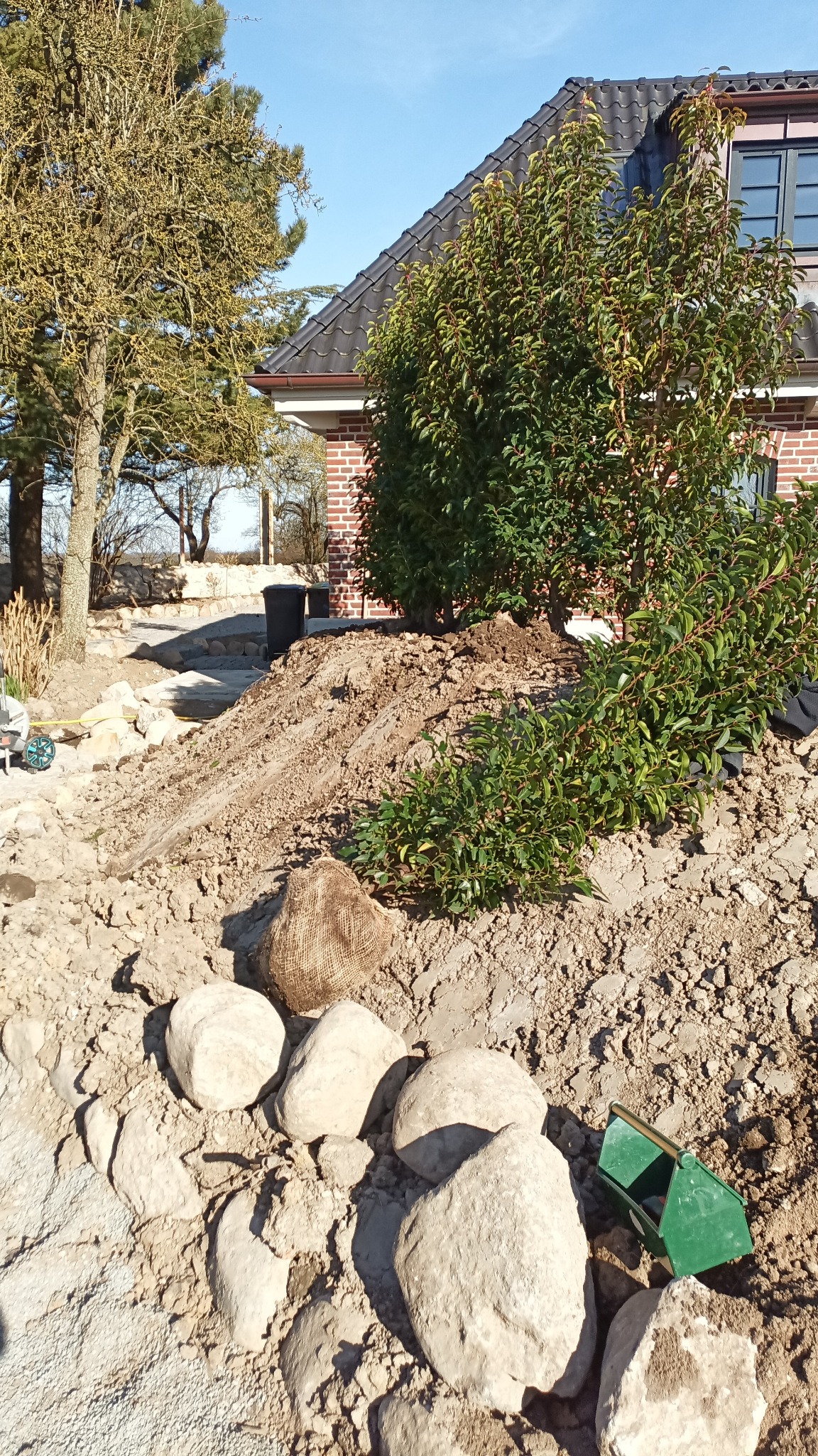 Przygotowany teren pod nasadzenia z kamieniami i narzędziami ogrodniczymi na pierwszym planie, w tle dom z cegły i drzewa pod błękitnym niebem.