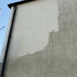 Mycie oraz odgrzybianie elewacji.