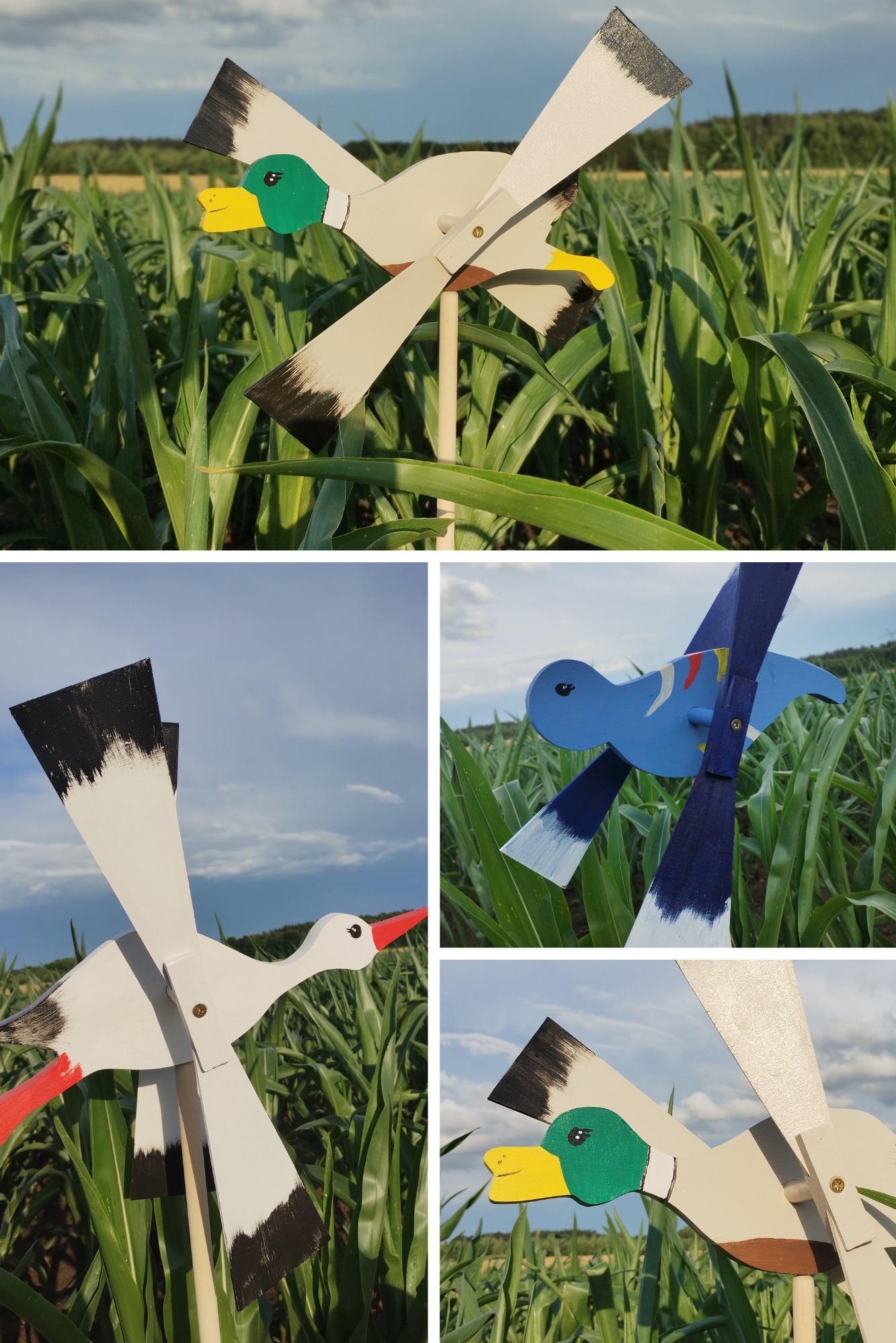Ręcznie robiony, drewniany wiatrak ogrodowy w kształcie kaczki, umieszczony na polu kukurydzy. Wiatrak pomalowany w żywych kolorach, z widocznymi detalami.