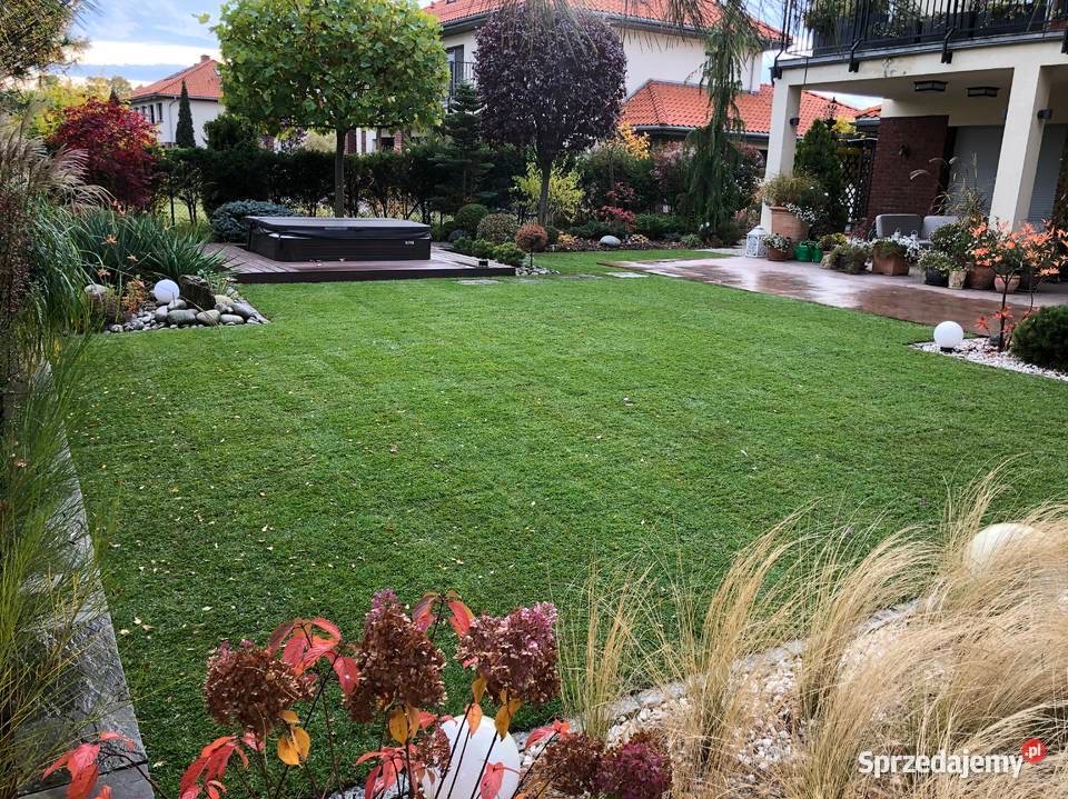 Zadbany ogród z równo przystrzyżonym trawnikiem, ozdobnymi roślinami i jacuzzi na drewnianym podeście. Widoczne elementy małej architektury i oświetlenie ogrodowe.